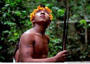 Indiens d’Amazonie - Le dernier combat / France 5 le mardi 7 janvier à 21h45