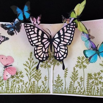 PAPILLONS DANS LES HERBES.