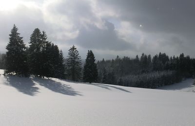 Le calme après la tempête...