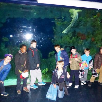 Fête foraine et visite de l'aquarium de Hull