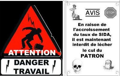 Citations Celebres A Propos Des Cons Histoires De Rire