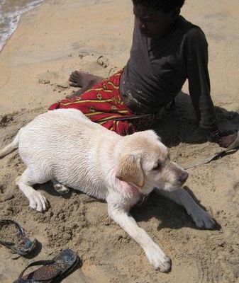 I bambini di Abidjan