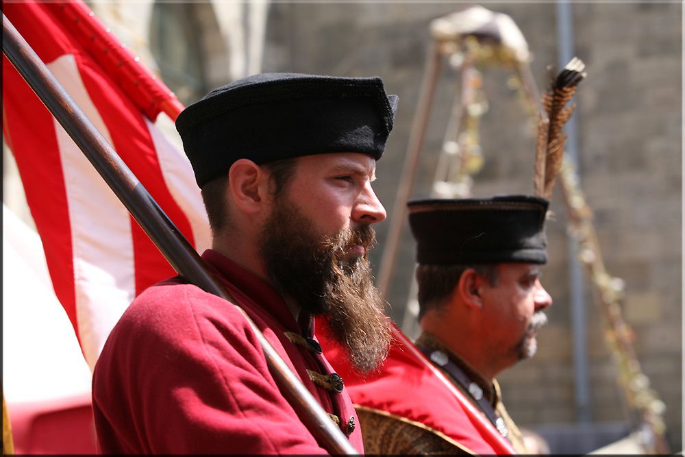 Album - Defile Fete Medievale (serie-2)