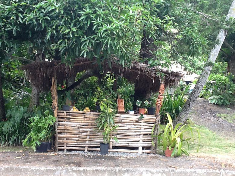 Danse pilou, Bougna, mangrove, Manou, case traditionnelle, fleurs d'Hibiscus, de Tiaré...