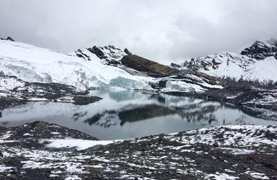 #52 Glacier Pastoruri du Parc Huascaran 