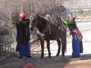 Gansu Sud - Xiahe