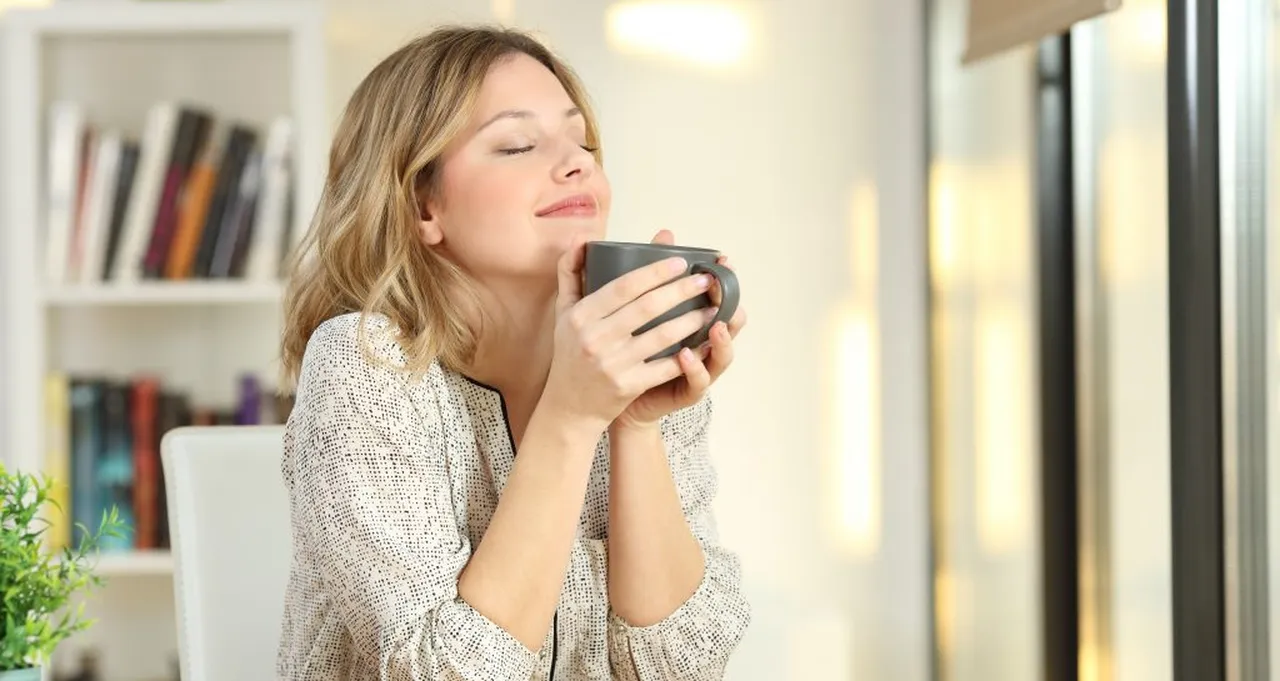 Purificateurs d'air : doit-on s'équipeR pour se protéger ?
