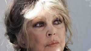 3 millions de chiens errants abattus au Maroc pour le Mondial 2030 : Brigitte Bardot accuse la FIFA, "complice de tant de souffrances"