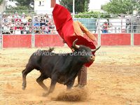 Féria d'Azille 2015 : La Becerade