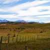 Patagonia (5) : cabalgata dans la pampa