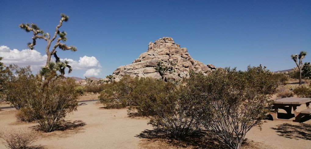 Quelques photos de ce site étonnant.