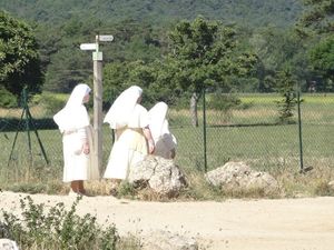 Ste Baume, la Grotte et le sentier merveilleux..