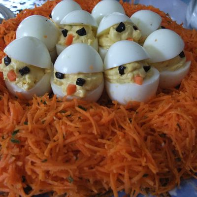 Des poussins oeufs durs sur un nid de carottes rapées (une entrée simple pour pâques)