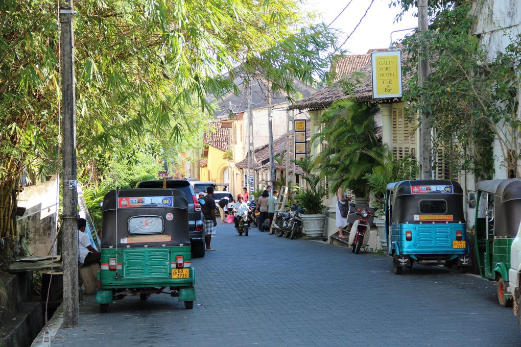 Album - Sri-Lanka-fevrier-2013