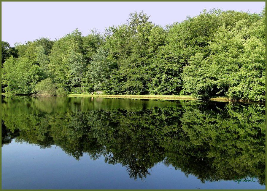 Quelques photos avec de l'eau... (d'autres photos se trouvent se trouvent dans d'autres album)