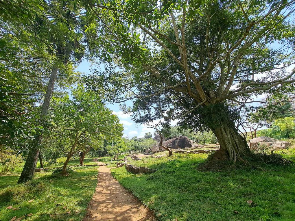 Le Sri-Lanka : Une perle de l'Océan Indien à découvrir