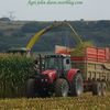 Ensilage de maïs 2012 [2]