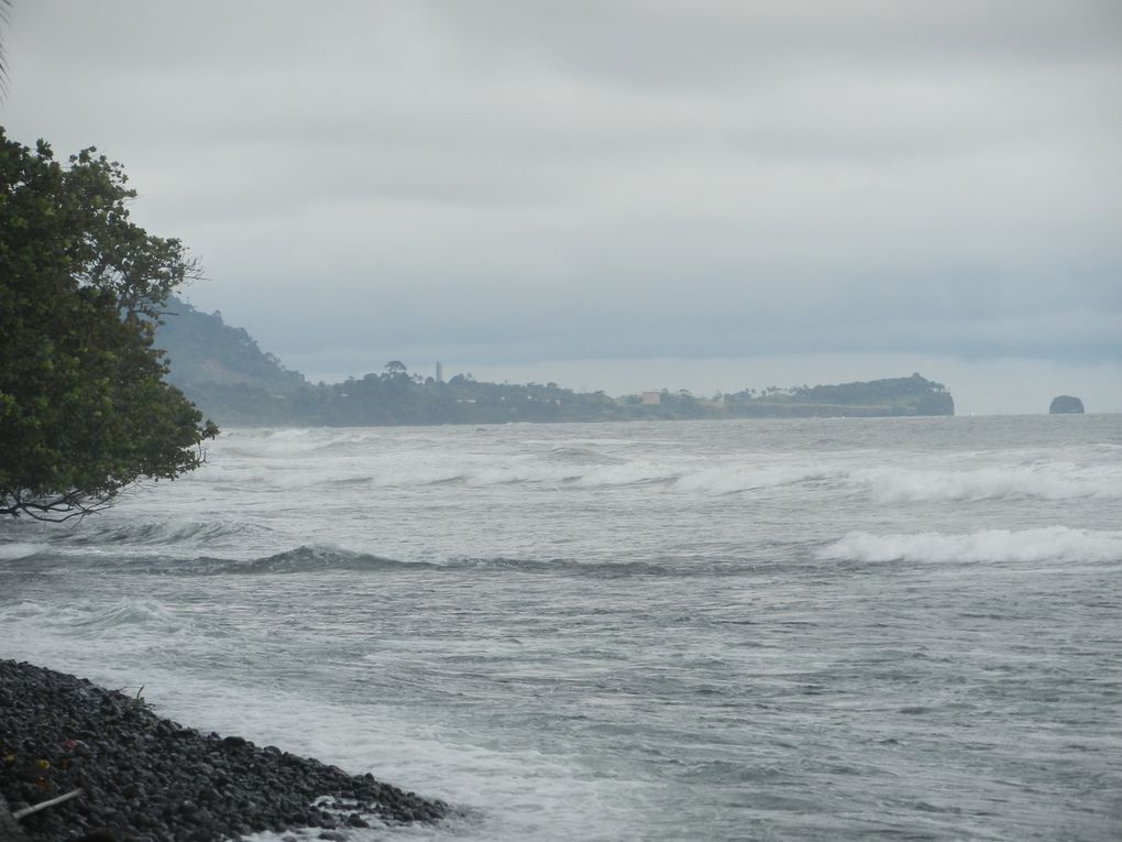 Limbé et ses plages, son parc botanique, son centre de la faune, son activité. Buea base pour le Mont Cameroun et le pont M'Fundi base pour le Nigeria