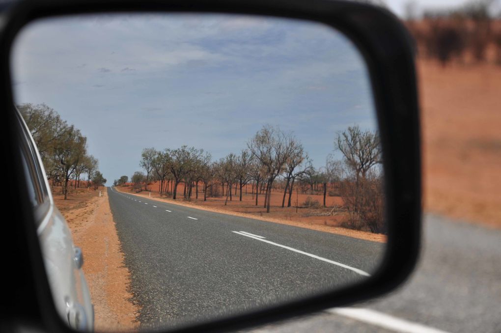 Album - Route vers Kings Canyon et Kings Canyon