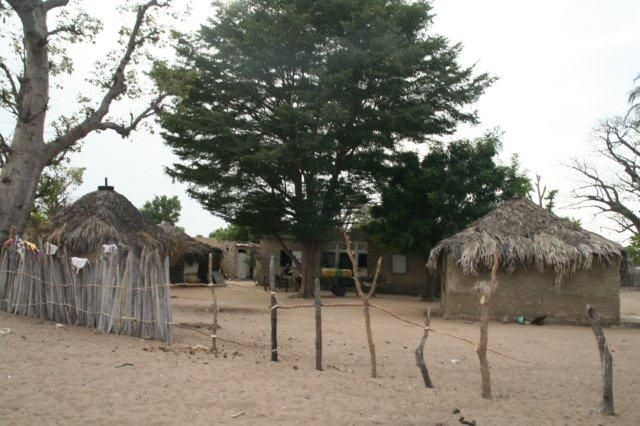 Album - Sine-Saloum-Senegal