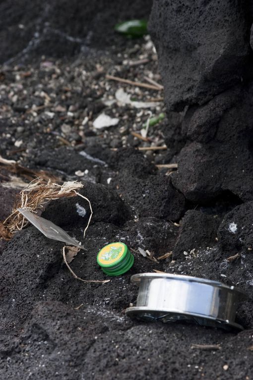 Méthode de suivi environnemental au Cap la Houssaye (Réunion) permettant d’évaluer l’état de santé d’un récif et de détecter des changements
écologiques liés à des perturbations naturelles ou humaines.