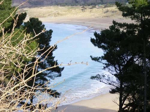 le cap frèhel, son cap, son phare, ses bruyéres, ses ballades, ses grandes falaises et ses grandes plages de sables fin , enfin quoi la vie douce en Bretagne