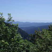 Col de la Schlucht in the Vosges mountains