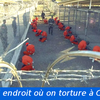 L'administration Biden dit vouloir fermer la prison de Guantanamo : A quand la restitution au peuple cubain ?