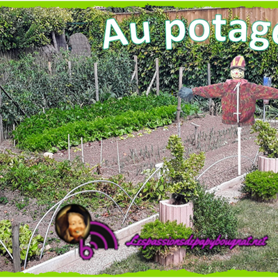 Au potager............
