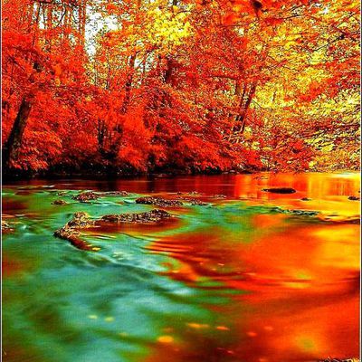 Automne - rivière dans la forêt d'Alsace