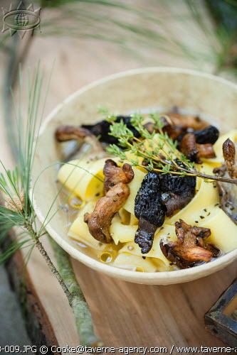 En forêt, je ramasse les champignons