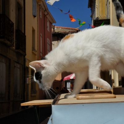 Des mots du jour sur les derniers jours