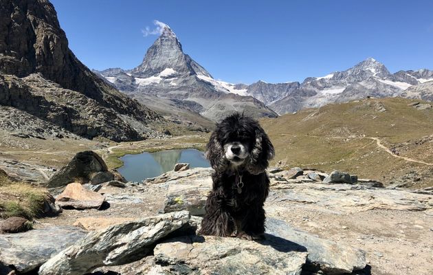 Juillet 2022 : Le Gornergrat 