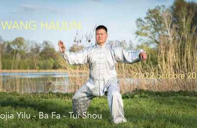 WANG HAIJUN - Laojia Yilu - Ba Fa - Tui Shou - octobre 2023