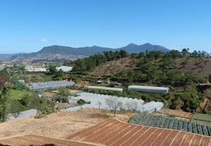 Album - Dalat-et-Nha-Trang