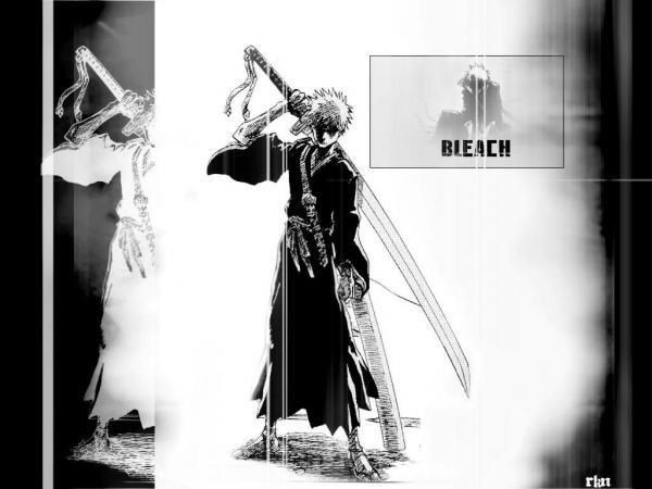 <strong>Voici de tres belles images de Bleach qui pourront serivir a d&eacute;corer votre bureau, a le rendre plus personnelle. Admirez.</strong>