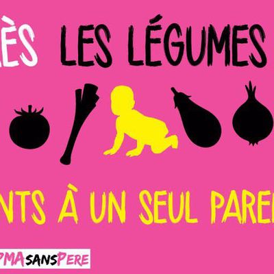 La Manif pour tous compare des enfants nés de PMA à des légumes OGM... Schiappa réclame le retrait de l'affiche