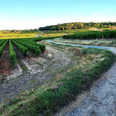 13 – Saint-Martin-de-Sanzay, Prailles, Thouars : 27 km (368 km)  