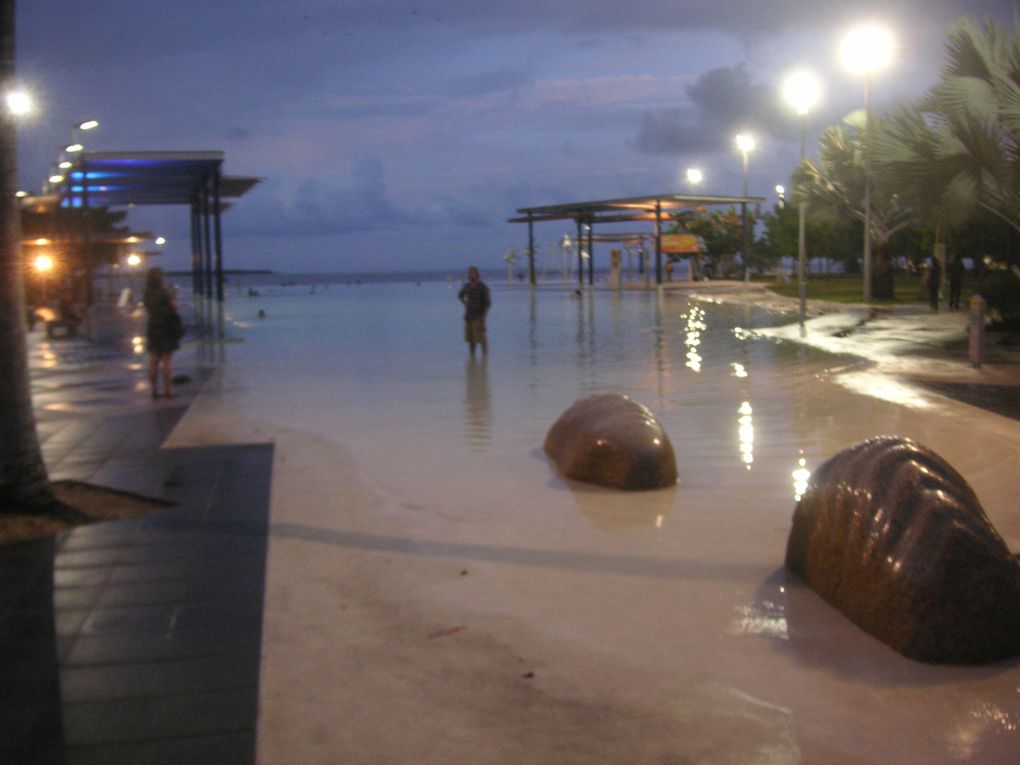 Ein traumhaft schöner Urlaub in Cairns, Regenwald, Great Barrier Reef, Whitsundays, Airlie Beach und auf dem Segelboot :)