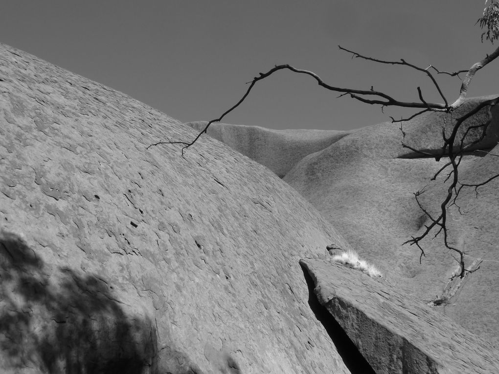 Album - 41 Uluru und die Olgas