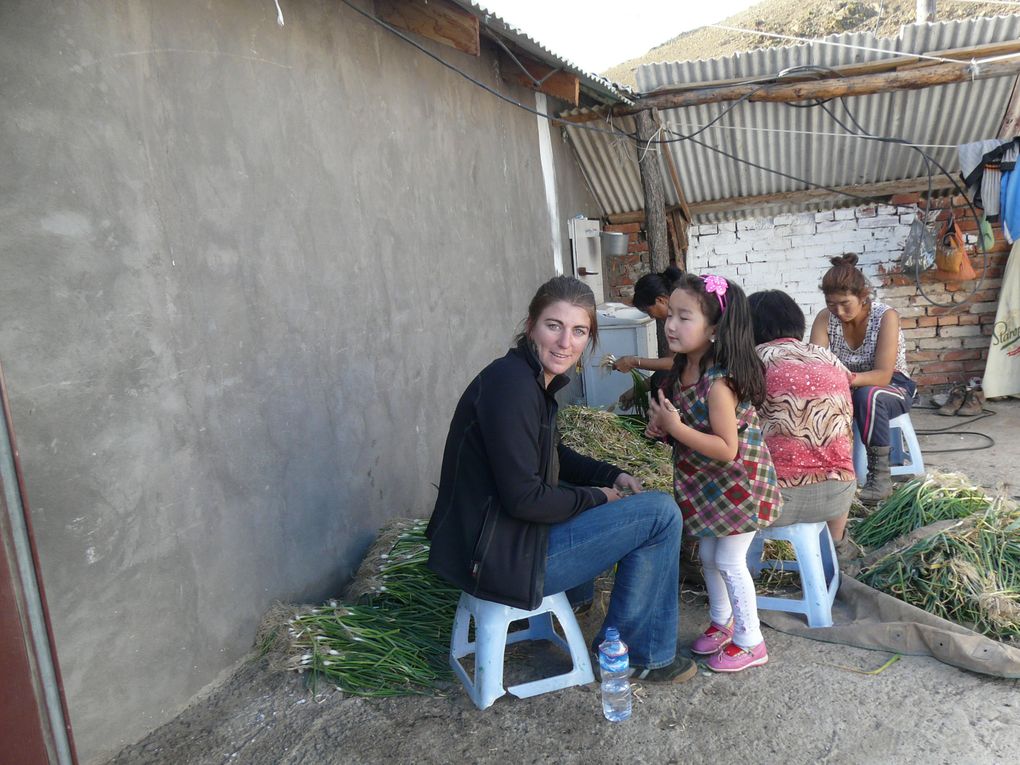 Album - Ferme-en-Mongolie