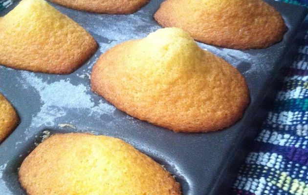 Madeleines traditionnelles à la vanille équitable à 4 mains .