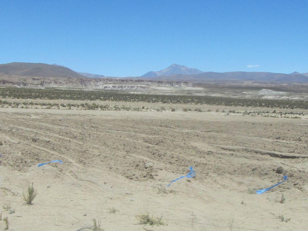 Italia perdida, laguna negra, valle de rocas, canyon del Anaconda, picnic vegetarien dans la nature, vizcacha, ibis, nandou avec ses 12 petits, le village "western",repas et dodo hotel de sel.