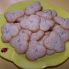 biscuits aux noisettes