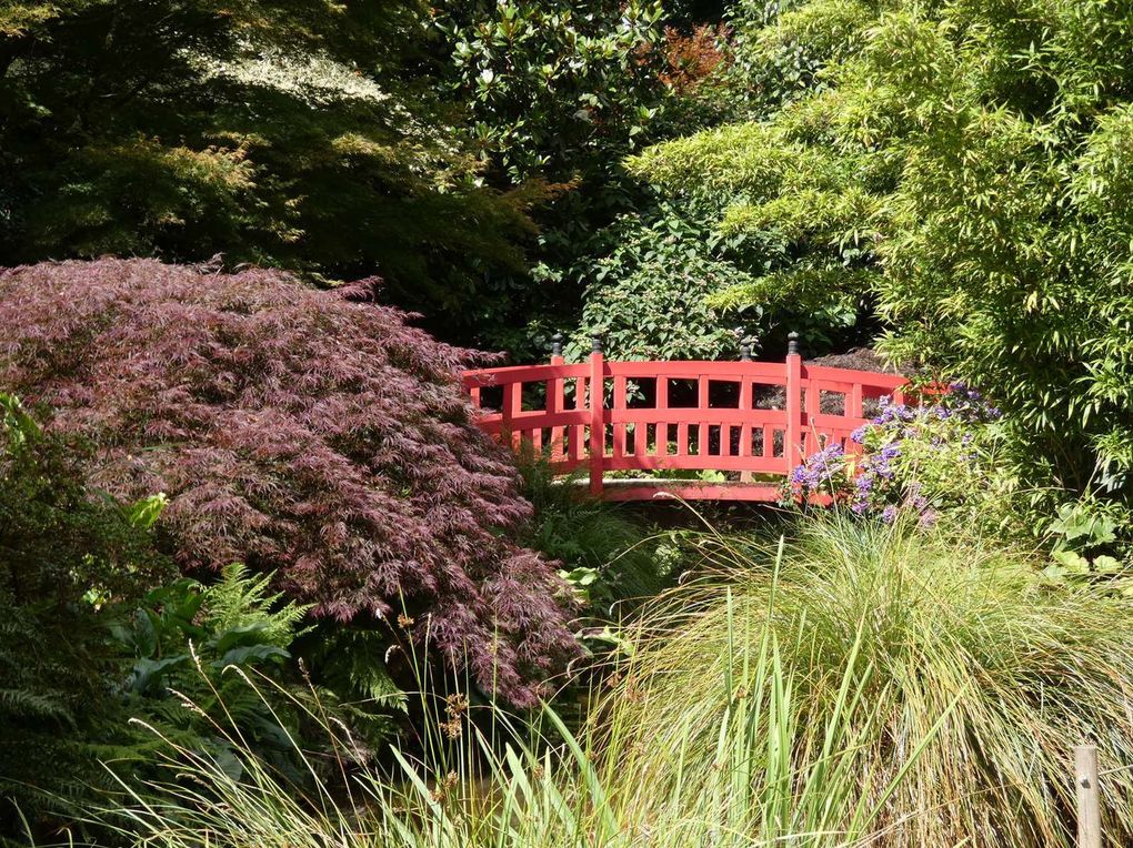 Retour au Parc botanique de Haute Bretagne