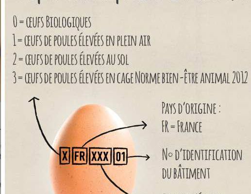 décryptage des code des oeufs