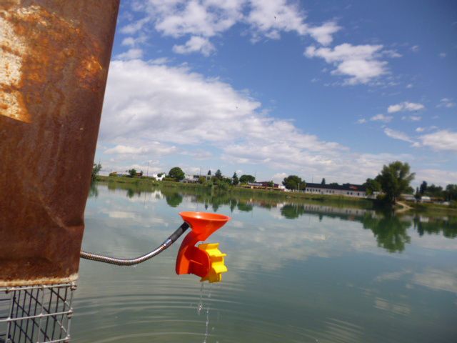 Avignon . Juin 2017 - Lac St Chamand . "Projet Ligne 14" / Compagnie Mises en scène