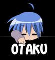 Otakritik