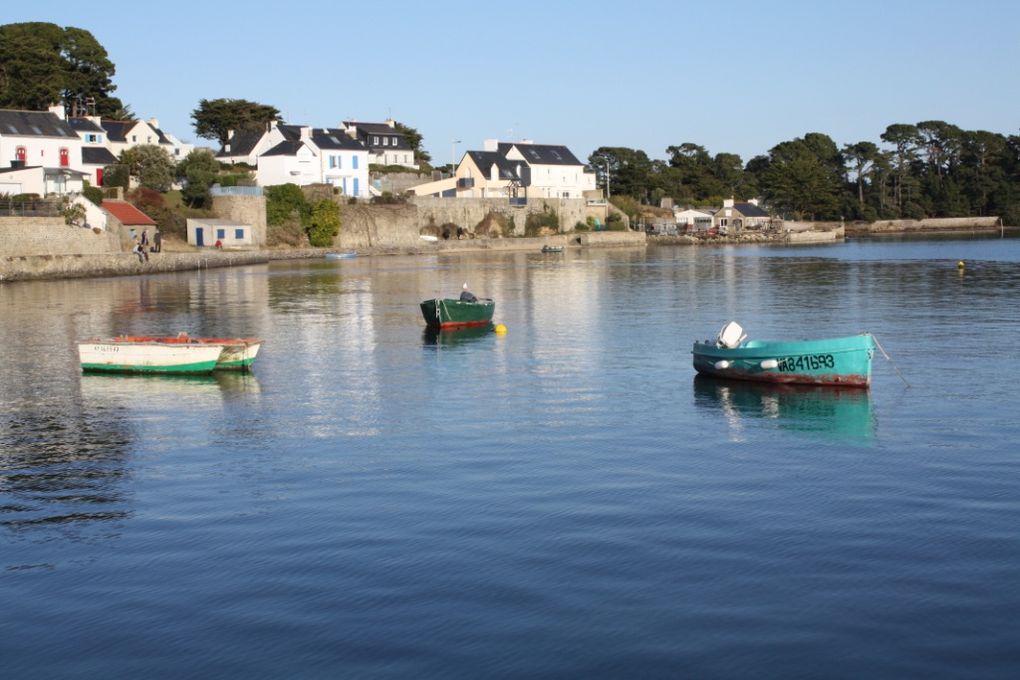 Photos du Tour du Golfe en bateau et de l'arrêt sur l'Ile aux Moines; lundi 15 mars 2010.