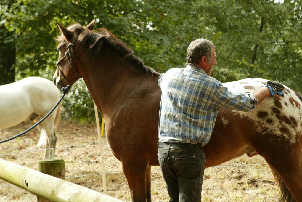 Album - 2010-PREPARATION-DU-DEFILE